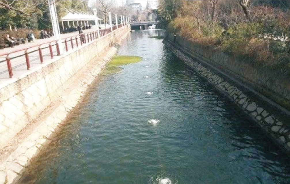小流域生态治理技术 小流域生态治理技术